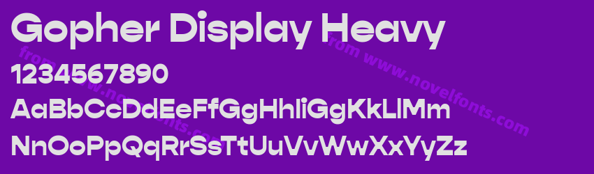 Gopher Display HeavyPreview