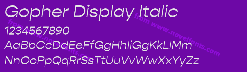 Gopher Display ItalicPreview Gopher Display ItalicPreview