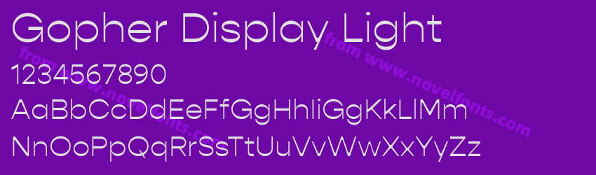 Gopher Display LightPreview