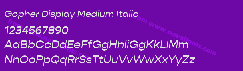 Gopher Display Medium ItalicPreview