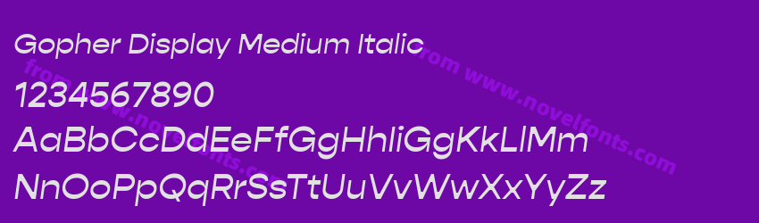Gopher Display Medium ItalicPreview Gopher Display Medium ItalicPreview