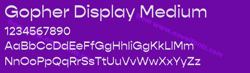Gopher Display MediumPreview Gopher Display MediumPreview
