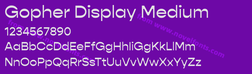 Gopher Display MediumPreview