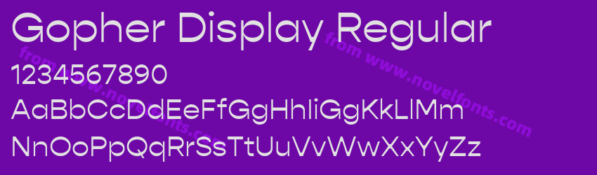 Gopher Display RegularPreview Gopher Display RegularPreview