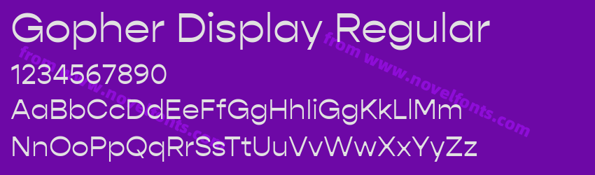 Gopher Display RegularPreview Gopher Display RegularPreview