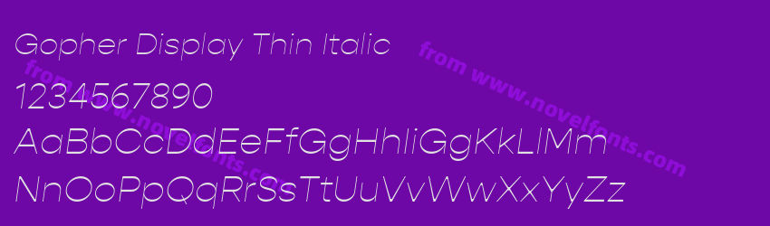 Gopher Display Thin ItalicPreview Gopher Display Thin ItalicPreview