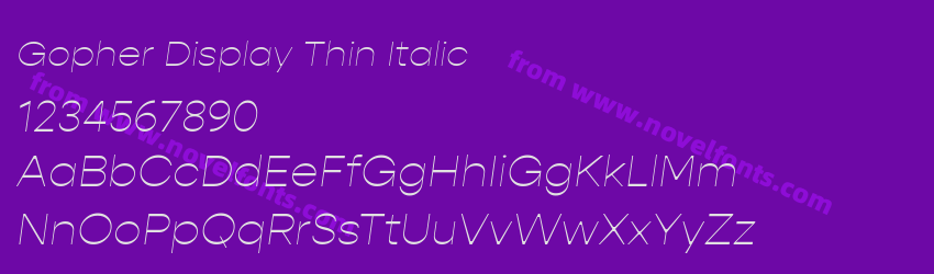 Gopher Display Thin ItalicPreview Gopher Display Thin ItalicPreview
