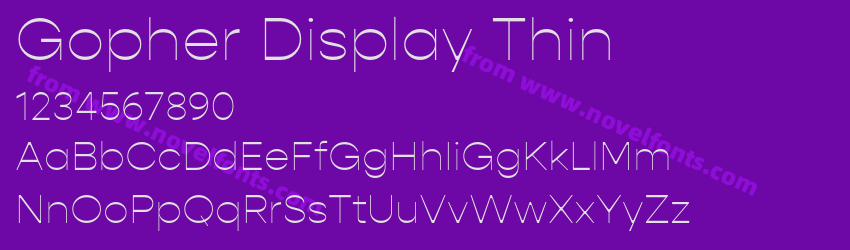 Gopher Display ThinPreview