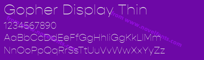 Gopher Display ThinPreview Gopher Display ThinPreview
