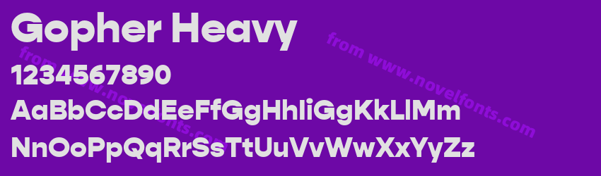 Gopher HeavyPreview Gopher HeavyPreview