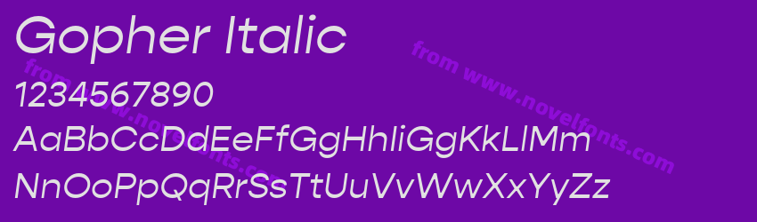 Gopher ItalicPreview Gopher ItalicPreview