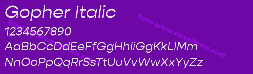 Gopher ItalicPreview Gopher ItalicPreview