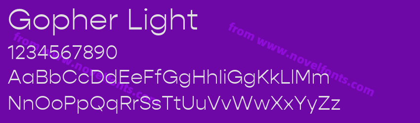Gopher LightPreview Gopher LightPreview