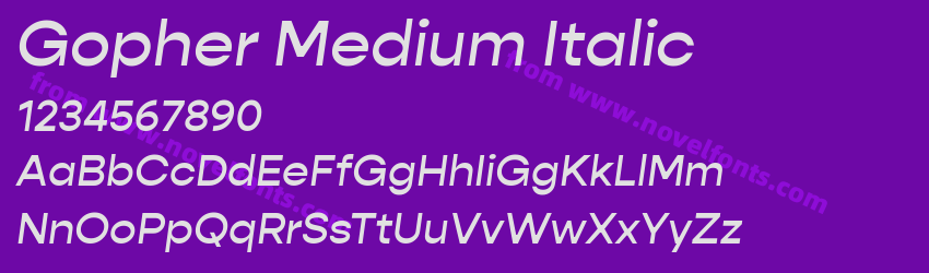 Gopher Medium ItalicPreview Gopher Medium ItalicPreview