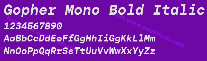 Gopher Mono Bold ItalicPreview Gopher Mono Bold ItalicPreview