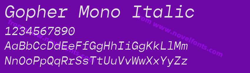 Gopher Mono ItalicPreview