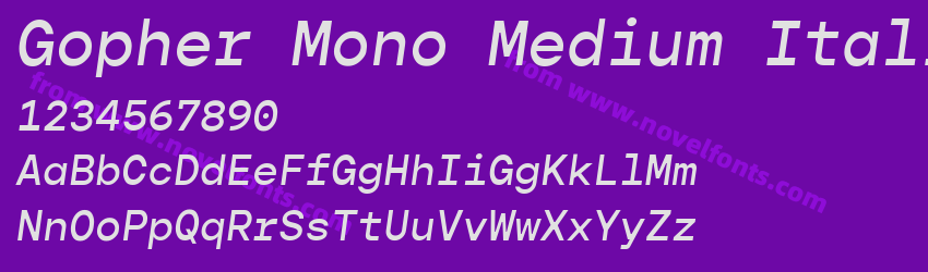 Gopher Mono Medium ItalicPreview