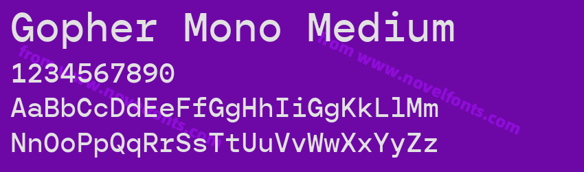 Gopher Mono MediumPreview Gopher Mono MediumPreview