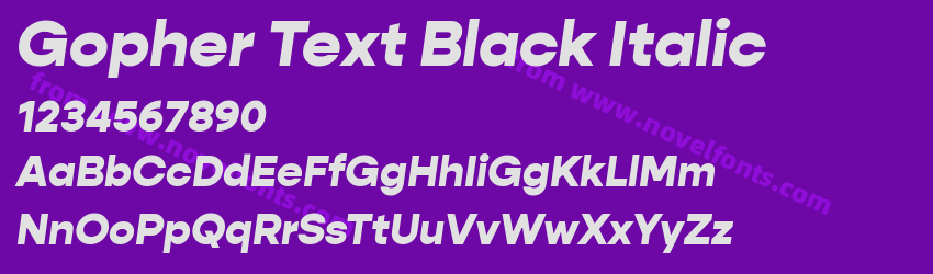 Gopher Text Black ItalicPreview Gopher Text Black ItalicPreview