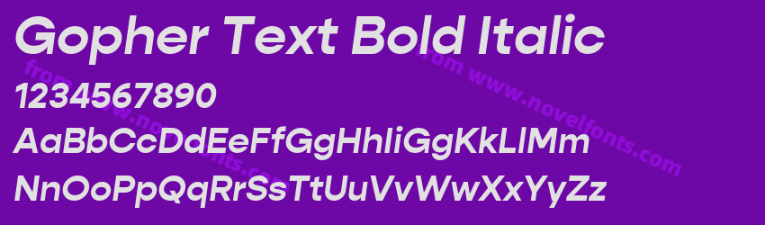 Gopher Text Bold ItalicPreview Gopher Text Bold ItalicPreview