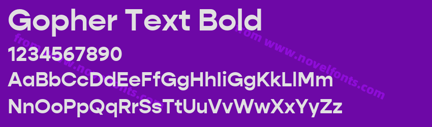 Gopher Text BoldPreview Gopher Text BoldPreview