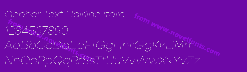 Gopher Text Hairline ItalicPreview Gopher Text Hairline ItalicPreview