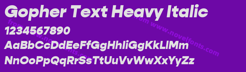 Gopher Text Heavy ItalicPreview Gopher Text Heavy ItalicPreview