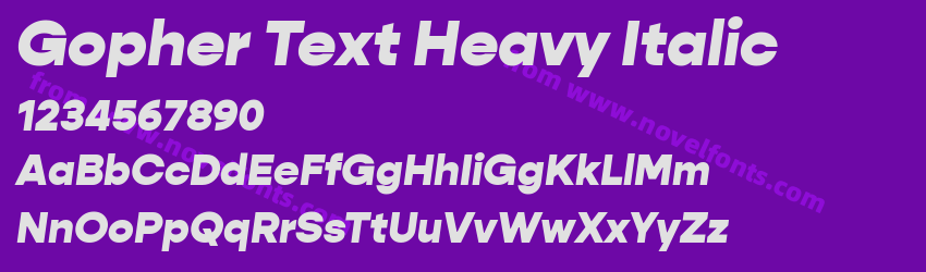 Gopher Text Heavy ItalicPreview