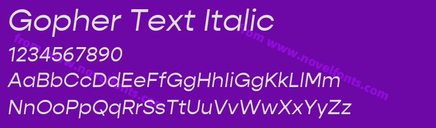 Gopher Text ItalicPreview Gopher Text ItalicPreview