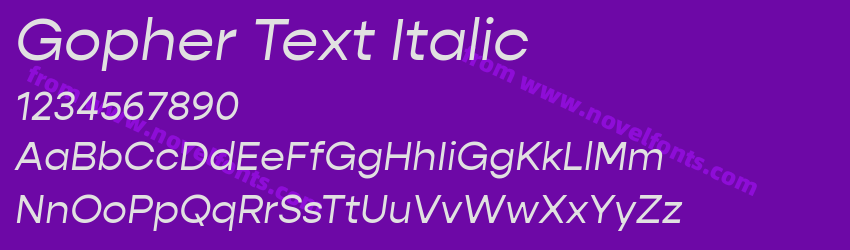 Gopher Text ItalicPreview