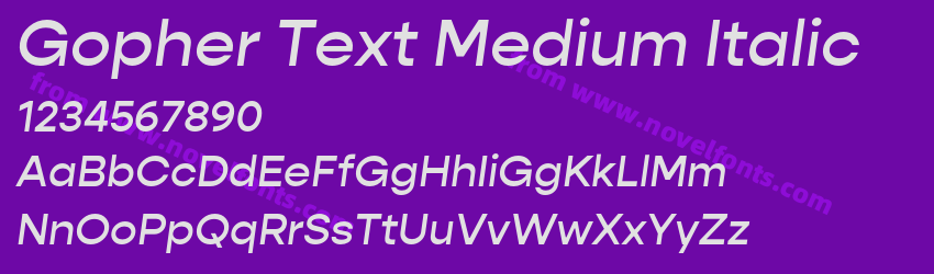 Gopher Text Medium ItalicPreview Gopher Text Medium ItalicPreview