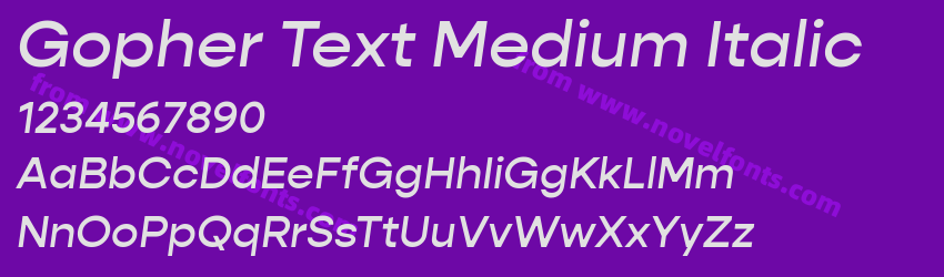 Gopher Text Medium ItalicPreview Gopher Text Medium ItalicPreview