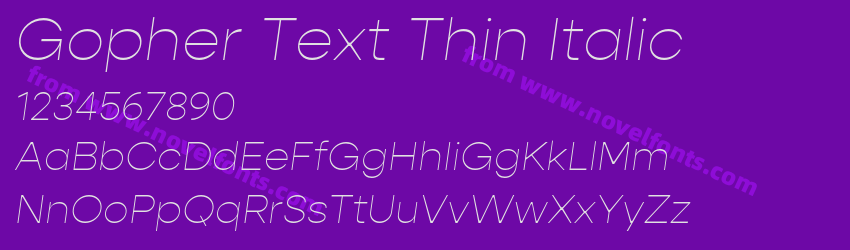 Gopher Text Thin ItalicPreview Gopher Text Thin ItalicPreview