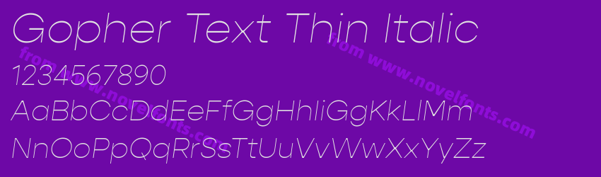 Gopher Text Thin ItalicPreview Gopher Text Thin ItalicPreview