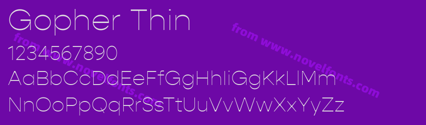 Gopher ThinPreview Gopher ThinPreview