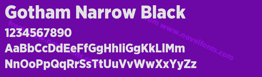 Gotham Narrow BlackPreview