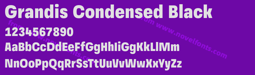 Grandis Condensed BlackPreview