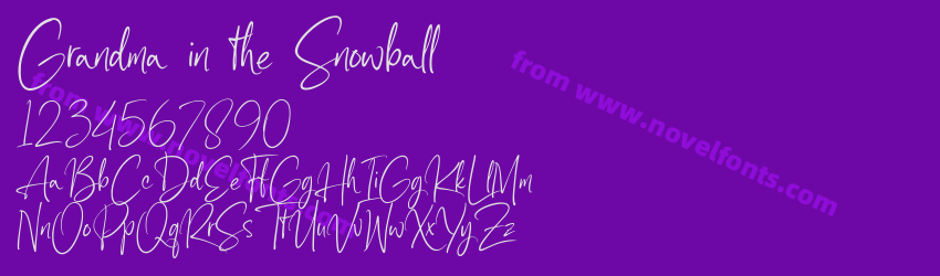 Grandma in the SnowballPreview Grandma in the SnowballPreview