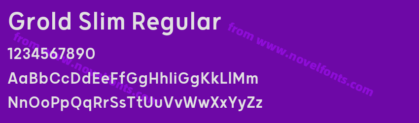 Grold Slim RegularPreview