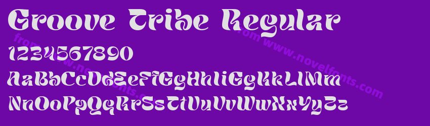 Groove Tribe RegularPreview Groove Tribe RegularPreview