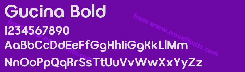 Gucina BoldPreview Gucina BoldPreview