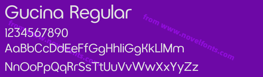 Gucina RegularPreview Gucina RegularPreview