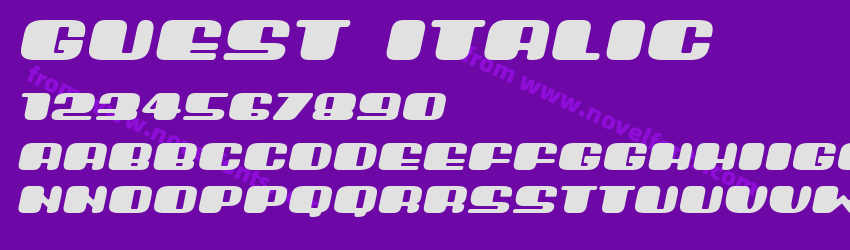 Guest ItalicPreview