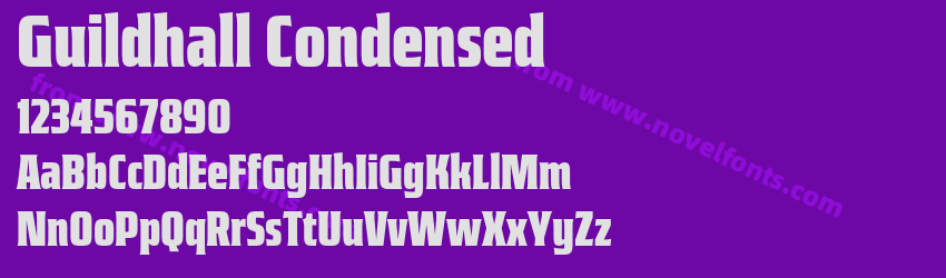 Guildhall CondensedPreview