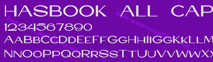 HASBOOK ALL CAPSPreview HASBOOK ALL CAPSPreview