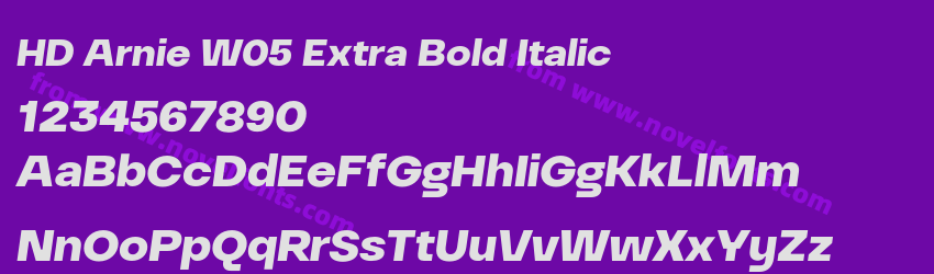 HD Arnie W05 Extra Bold ItalicPreview