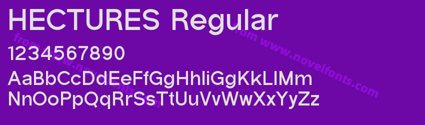 HECTURES RegularPreview HECTURES RegularPreview