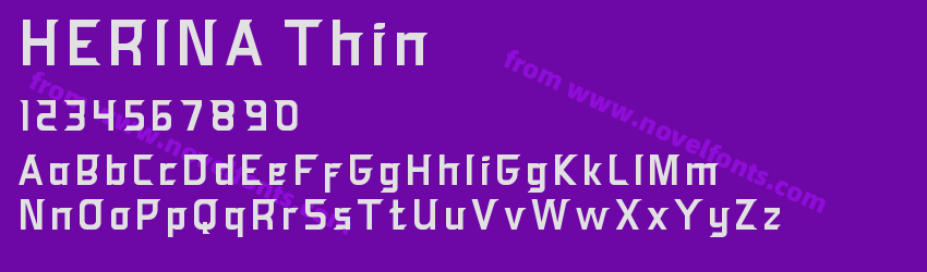 HERINA ThinPreview HERINA ThinPreview