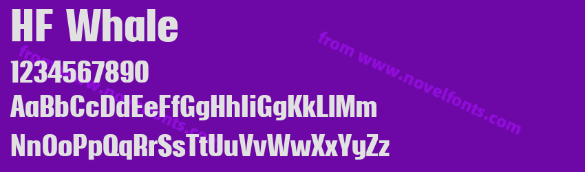HF WhalePreview HF WhalePreview