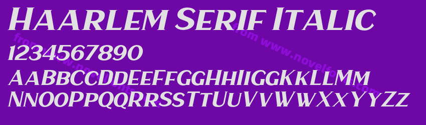 Haarlem Serif ItalicPreview Haarlem Serif ItalicPreview